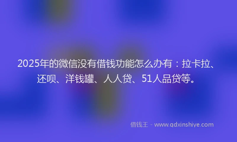2025年的微信没有借钱功能怎么办有：拉卡拉、还呗、洋钱罐、人人贷、51人品贷等。