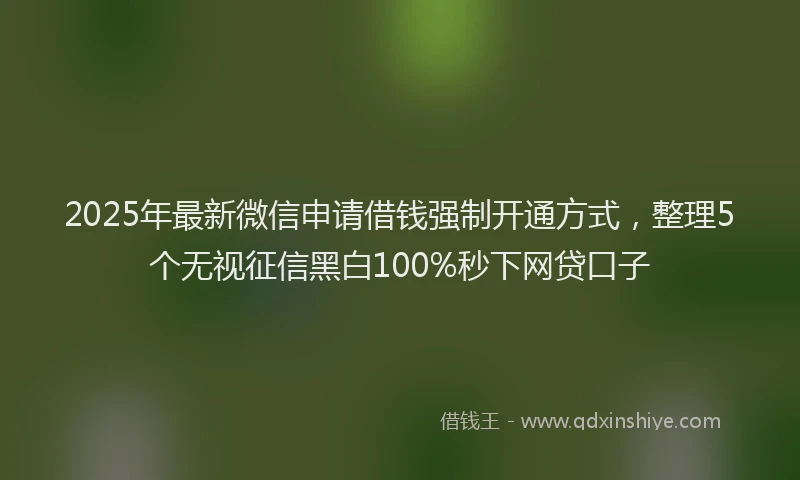 2025年最新微信申请借钱强制开通方式，整理5个无视征信黑白100%秒下网贷口子