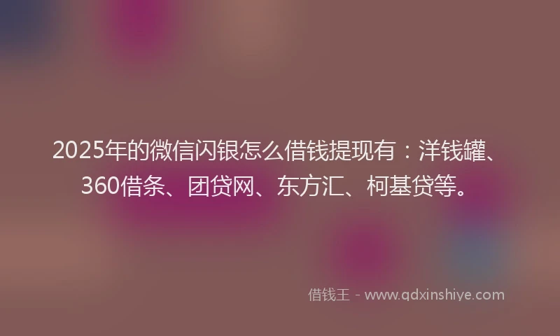 2025年的微信闪银怎么借钱提现有：洋钱罐、360借条、团贷网、东方汇、柯基贷等。