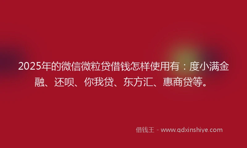 2025年的微信微粒贷借钱怎样使用有：度小满金融、还呗、你我贷、东方汇、惠商贷等。