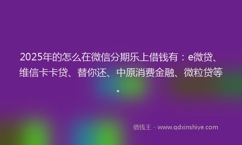 2025年的怎么在微信分期乐上借钱有：e微贷、维信卡卡贷、替你还、中原消费金融、微粒贷等。