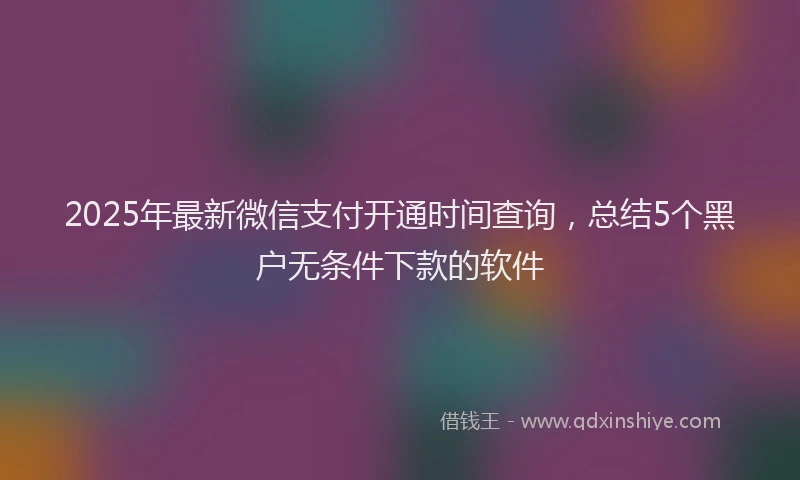 2025年最新微信支付开通时间查询，总结5个黑户无条件下款的软件