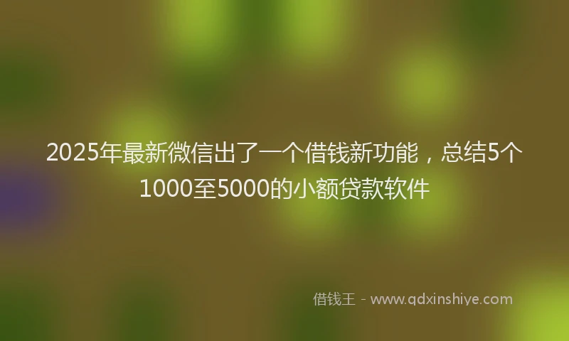 2025年最新微信出了一个借钱新功能，总结5个1000至5000的小额贷款软件