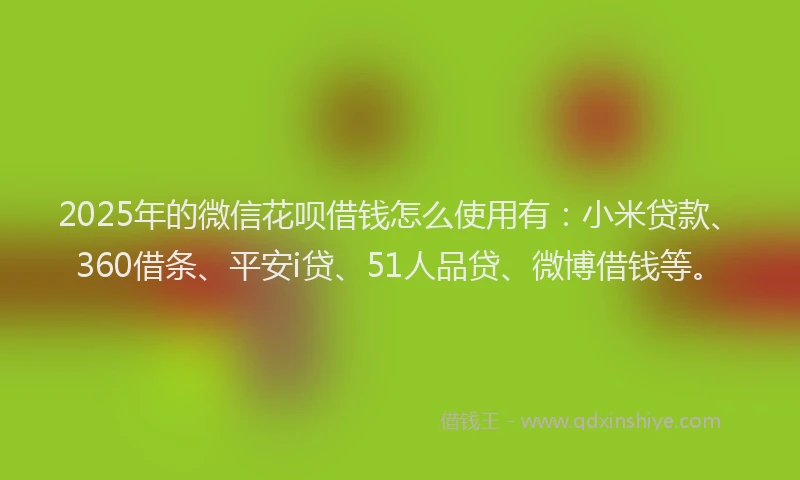 2025年的微信花呗借钱怎么使用有：小米贷款、360借条、平安i贷、51人品贷、微博借钱等。