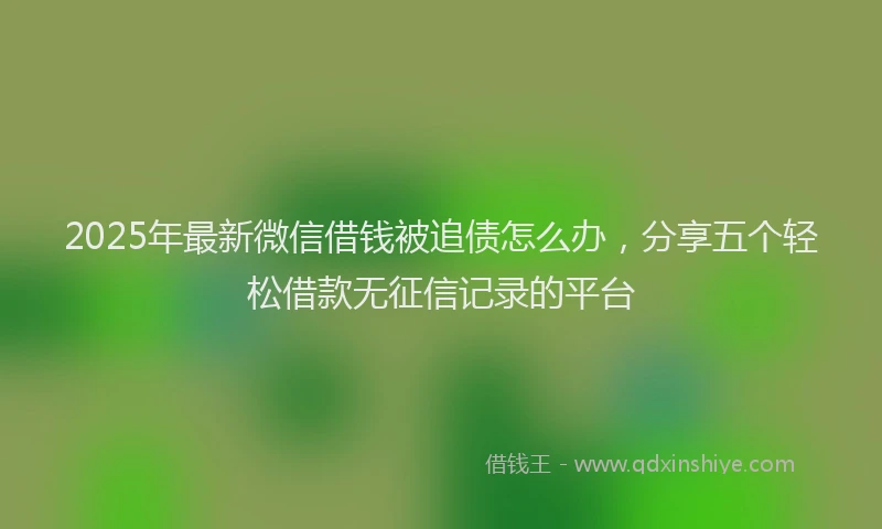 2025年最新微信借钱被追债怎么办，分享五个轻松借款无征信记录的平台