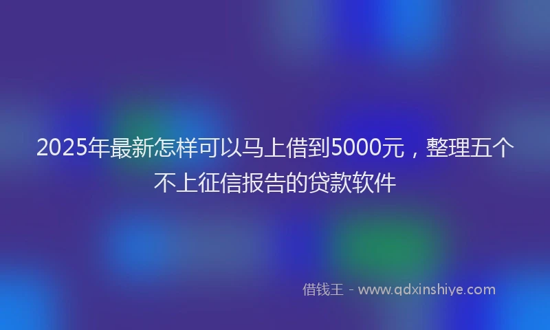 2025年最新怎样可以马上借到5000元，整理五个不上征信报告的贷款软件
