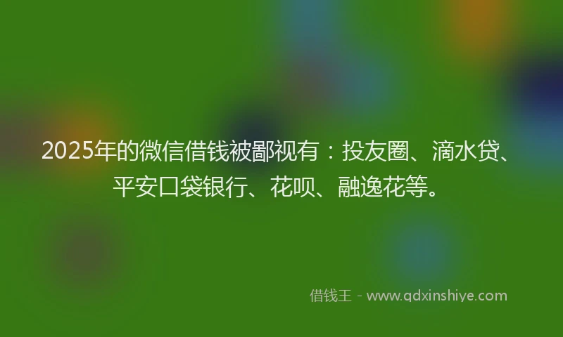 2025年的微信借钱被鄙视有：投友圈、滴水贷、平安口袋银行、花呗、融逸花等。