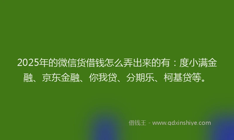 2025年的微信货借钱怎么弄出来的有：度小满金融、京东金融、你我贷、分期乐、柯基贷等。