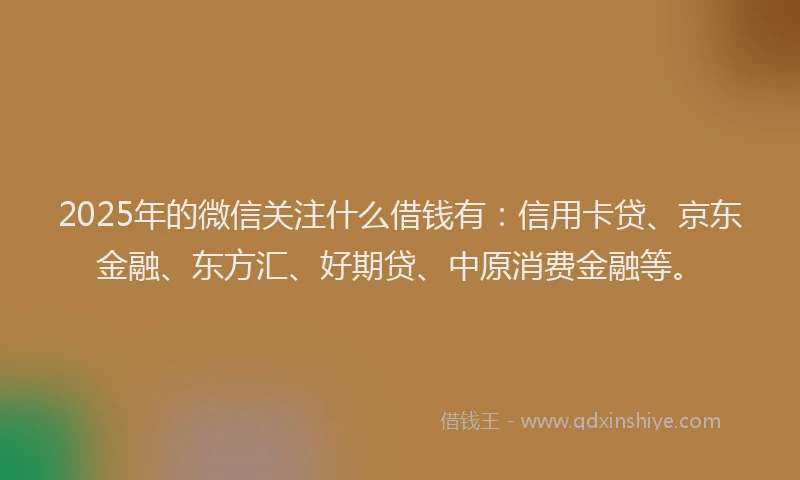 2025年的微信关注什么借钱有：信用卡贷、京东金融、东方汇、好期贷、中原消费金融等。