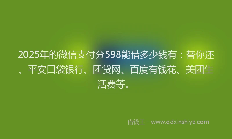 2025年的微信支付分598能借多少钱有：替你还、平安口袋银行、团贷网、百度有钱花、美团生活费等。