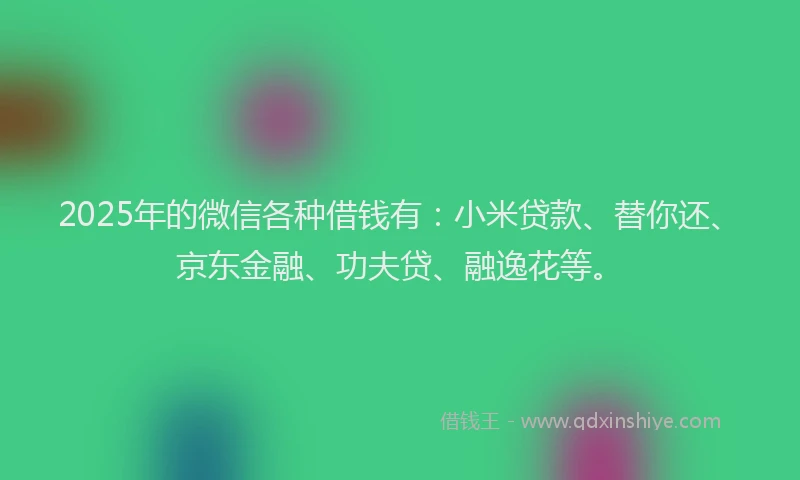 2025年的微信各种借钱有：小米贷款、替你还、京东金融、功夫贷、融逸花等。