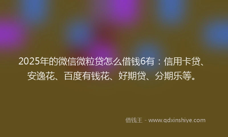 2025年的微信微粒贷怎么借钱6有：信用卡贷、安逸花、百度有钱花、好期贷、分期乐等。