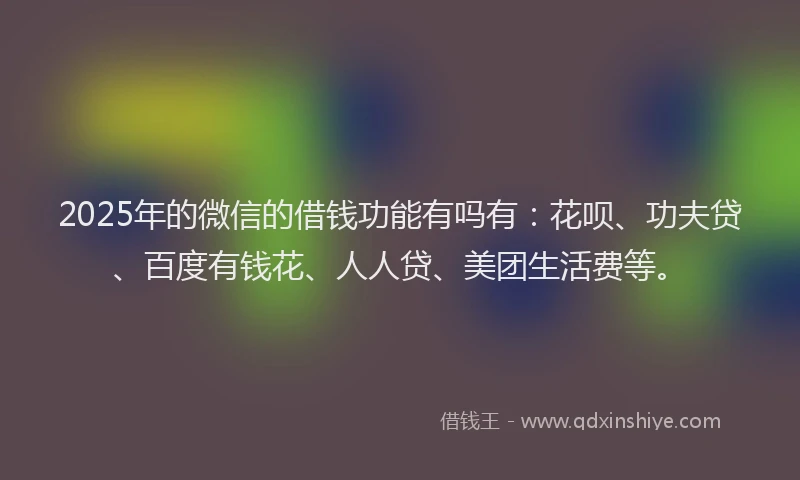 2025年的微信的借钱功能有吗有：花呗、功夫贷、百度有钱花、人人贷、美团生活费等。