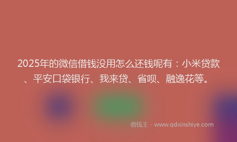 2025年的微信借钱没用怎么还钱呢有：小米贷款、平安口袋银行、我来贷、省呗、融逸花等。