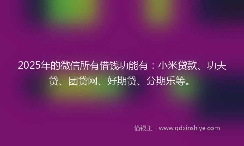 2025年的微信所有借钱功能有：小米贷款、功夫贷、团贷网、好期贷、分期乐等。