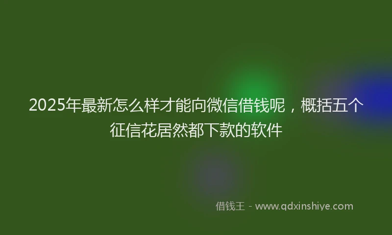 2025年最新怎么样才能向微信借钱呢，概括五个征信花居然都下款的软件