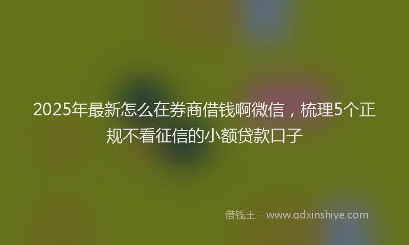 2025年最新怎么在券商借钱啊微信，梳理5个正规不看征信的小额贷款口子