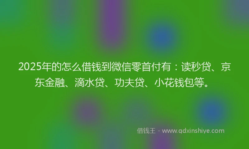 2025年的怎么借钱到微信零首付有：读秒贷、京东金融、滴水贷、功夫贷、小花钱包等。