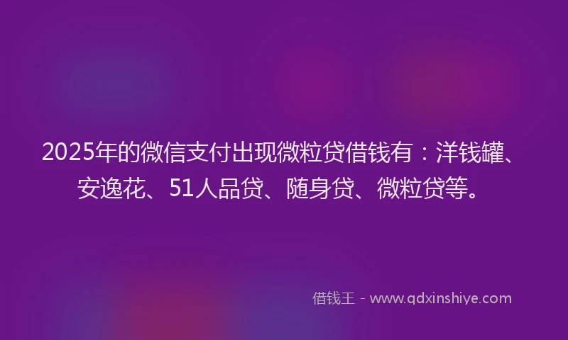 2025年的微信支付出现微粒贷借钱有：洋钱罐、安逸花、51人品贷、随身贷、微粒贷等。