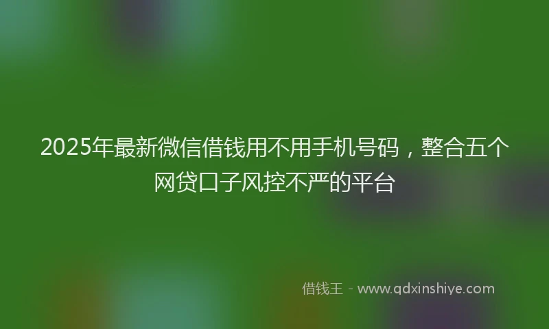 2025年最新微信借钱用不用手机号码，整合五个网贷口子风控不严的平台