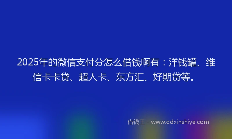 2025年的微信支付分怎么借钱啊有：洋钱罐、维信卡卡贷、超人卡、东方汇、好期贷等。