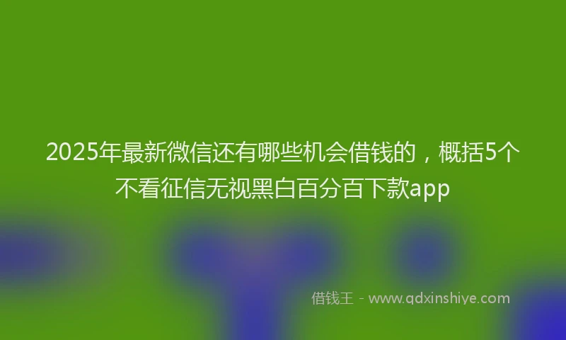 2025年最新微信还有哪些机会借钱的，概括5个不看征信无视黑白百分百下款app