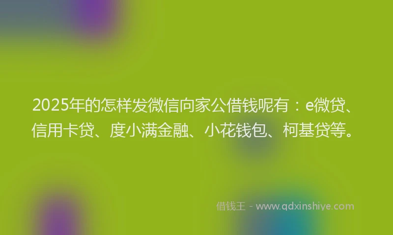 2025年的怎样发微信向家公借钱呢有：e微贷、信用卡贷、度小满金融、小花钱包、柯基贷等。