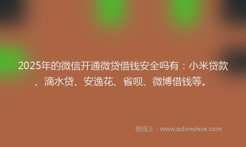 2025年的微信开通微贷借钱安全吗有：小米贷款、滴水贷、安逸花、省呗、微博借钱等。