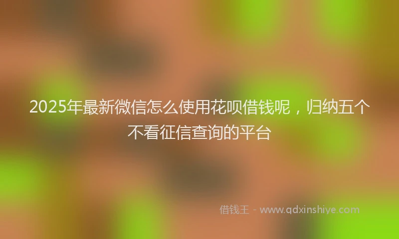 2025年最新微信怎么使用花呗借钱呢，归纳五个不看征信查询的平台