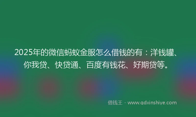 2025年的微信蚂蚁金服怎么借钱的有：洋钱罐、你我贷、快贷通、百度有钱花、好期贷等。