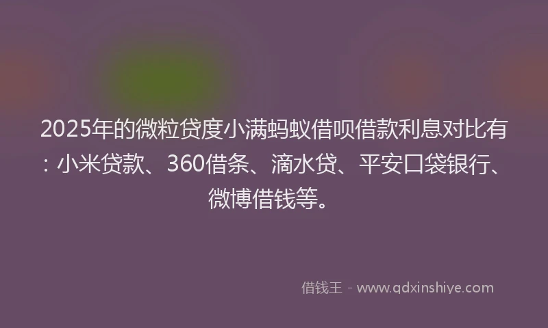 2025年的微粒贷度小满蚂蚁借呗借款利息对比有：小米贷款、360借条、滴水贷、平安口袋银行、微博借钱等。