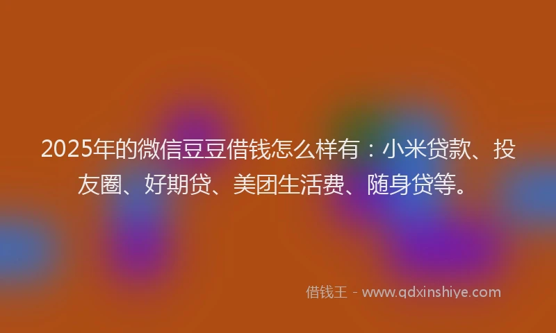 2025年的微信豆豆借钱怎么样有：小米贷款、投友圈、好期贷、美团生活费、随身贷等。