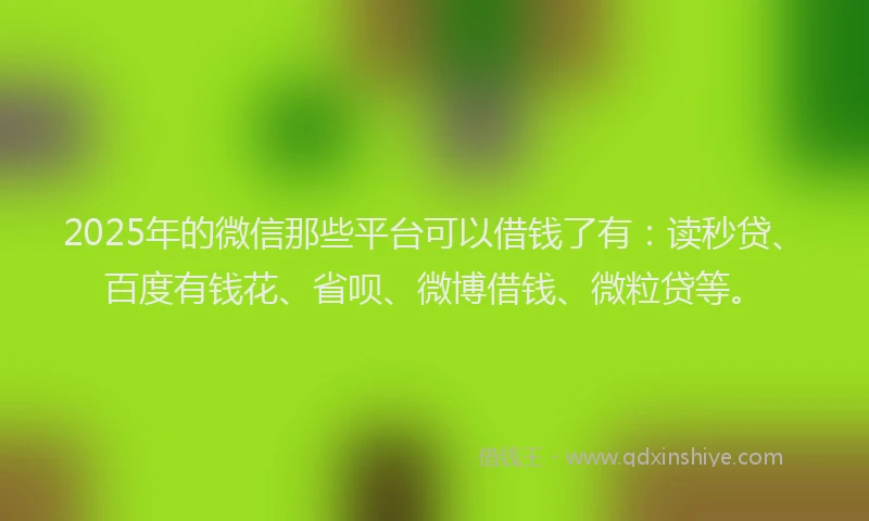 2025年的微信那些平台可以借钱了有：读秒贷、百度有钱花、省呗、微博借钱、微粒贷等。