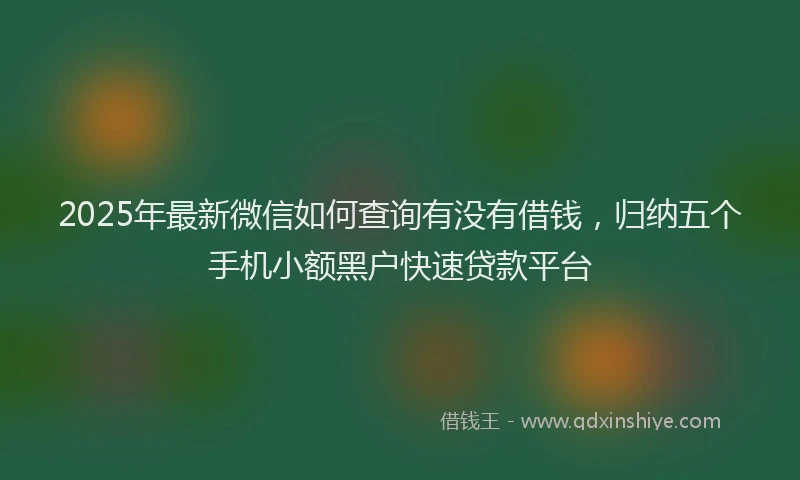 2025年最新微信如何查询有没有借钱，归纳五个手机小额黑户快速贷款平台