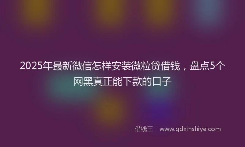 2025年最新微信怎样安装微粒贷借钱，盘点5个网黑真正能下款的口子