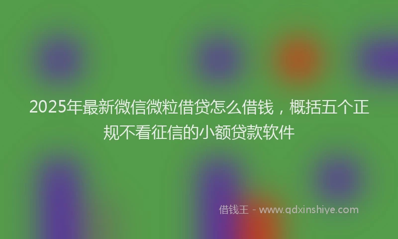 2025年最新微信微粒借贷怎么借钱，概括五个正规不看征信的小额贷款软件