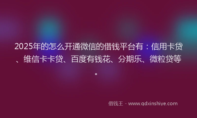 2025年的怎么开通微信的借钱平台有：信用卡贷、维信卡卡贷、百度有钱花、分期乐、微粒贷等。