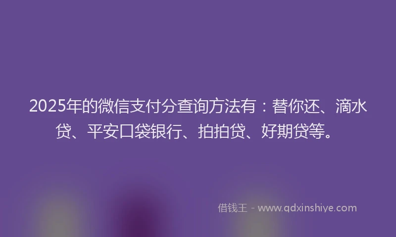 2025年的微信支付分查询方法有：替你还、滴水贷、平安口袋银行、拍拍贷、好期贷等。