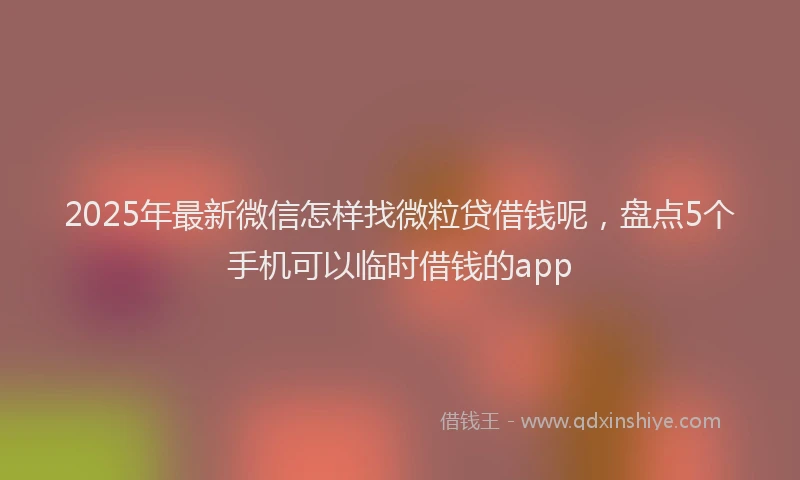 2025年最新微信怎样找微粒贷借钱呢，盘点5个手机可以临时借钱的app