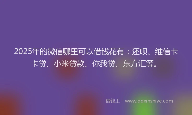 2025年的微信哪里可以借钱花有：还呗、维信卡卡贷、小米贷款、你我贷、东方汇等。
