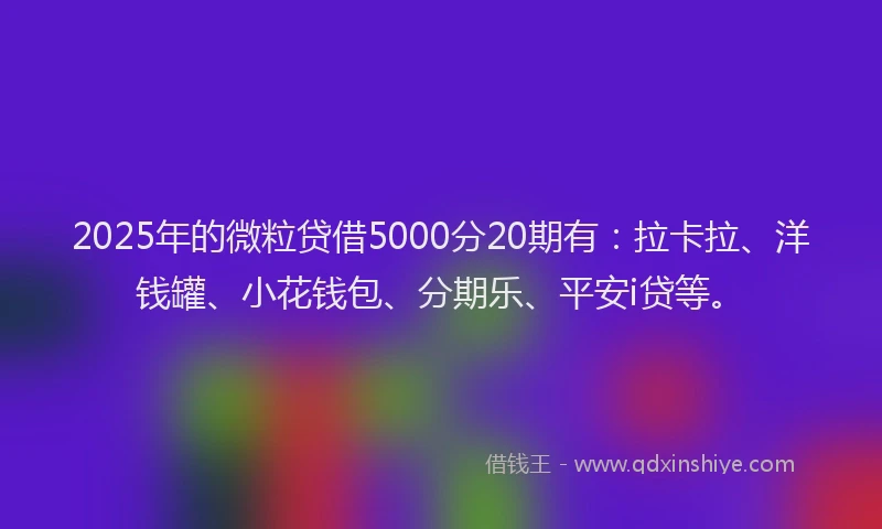 2025年的微粒贷借5000分20期有：拉卡拉、洋钱罐、小花钱包、分期乐、平安i贷等。
