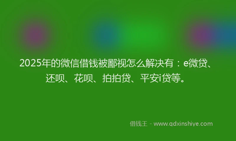 2025年的微信借钱被鄙视怎么解决有：e微贷、还呗、花呗、拍拍贷、平安i贷等。
