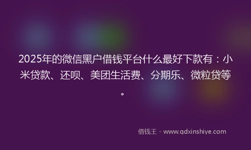 2025年的微信黑户借钱平台什么最好下款有：小米贷款、还呗、美团生活费、分期乐、微粒贷等。