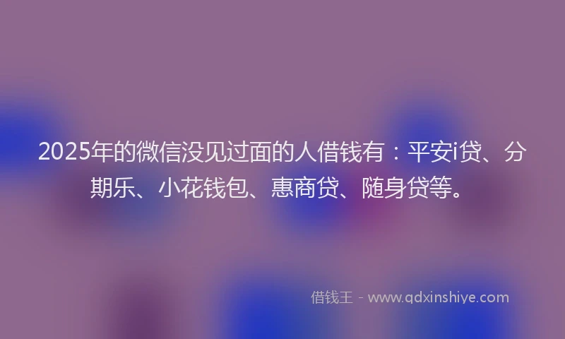2025年的微信没见过面的人借钱有：平安i贷、分期乐、小花钱包、惠商贷、随身贷等。