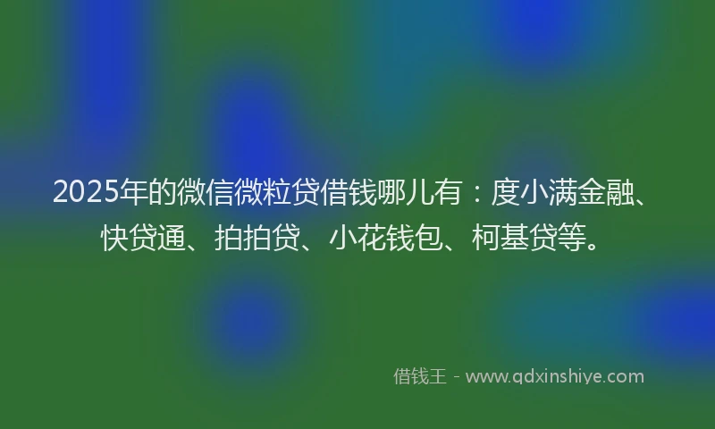 2025年的微信微粒贷借钱哪儿有：度小满金融、快贷通、拍拍贷、小花钱包、柯基贷等。