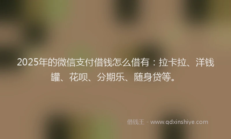 2025年的微信支付借钱怎么借有：拉卡拉、洋钱罐、花呗、分期乐、随身贷等。