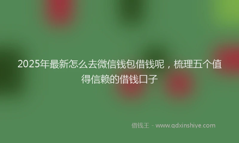 2025年最新怎么去微信钱包借钱呢，梳理五个值得信赖的借钱口子