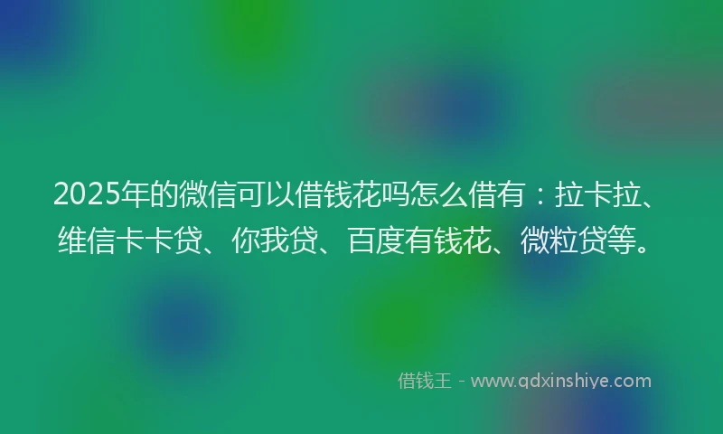 2025年的微信可以借钱花吗怎么借有：拉卡拉、维信卡卡贷、你我贷、百度有钱花、微粒贷等。