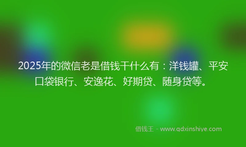 2025年的微信老是借钱干什么有：洋钱罐、平安口袋银行、安逸花、好期贷、随身贷等。