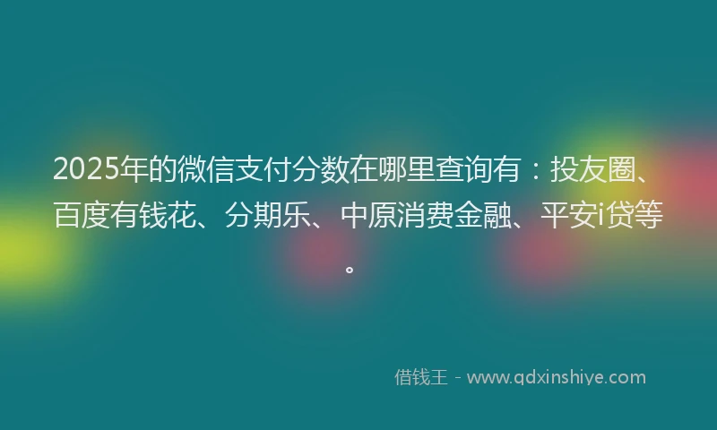 2025年的微信支付分数在哪里查询有：投友圈、百度有钱花、分期乐、中原消费金融、平安i贷等。